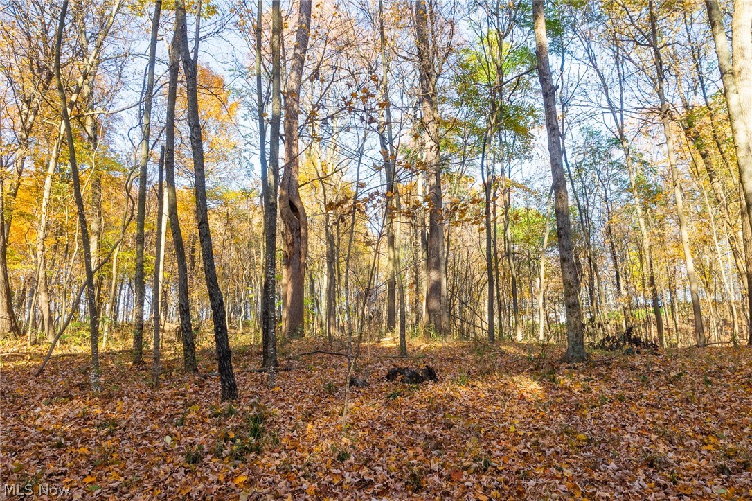 Smith Road SW Navarre OH 44662