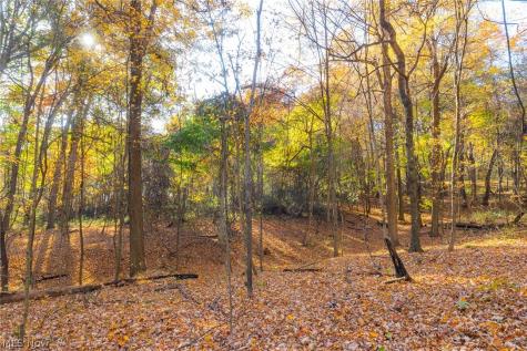 Smith Road SW Navarre OH 44662
