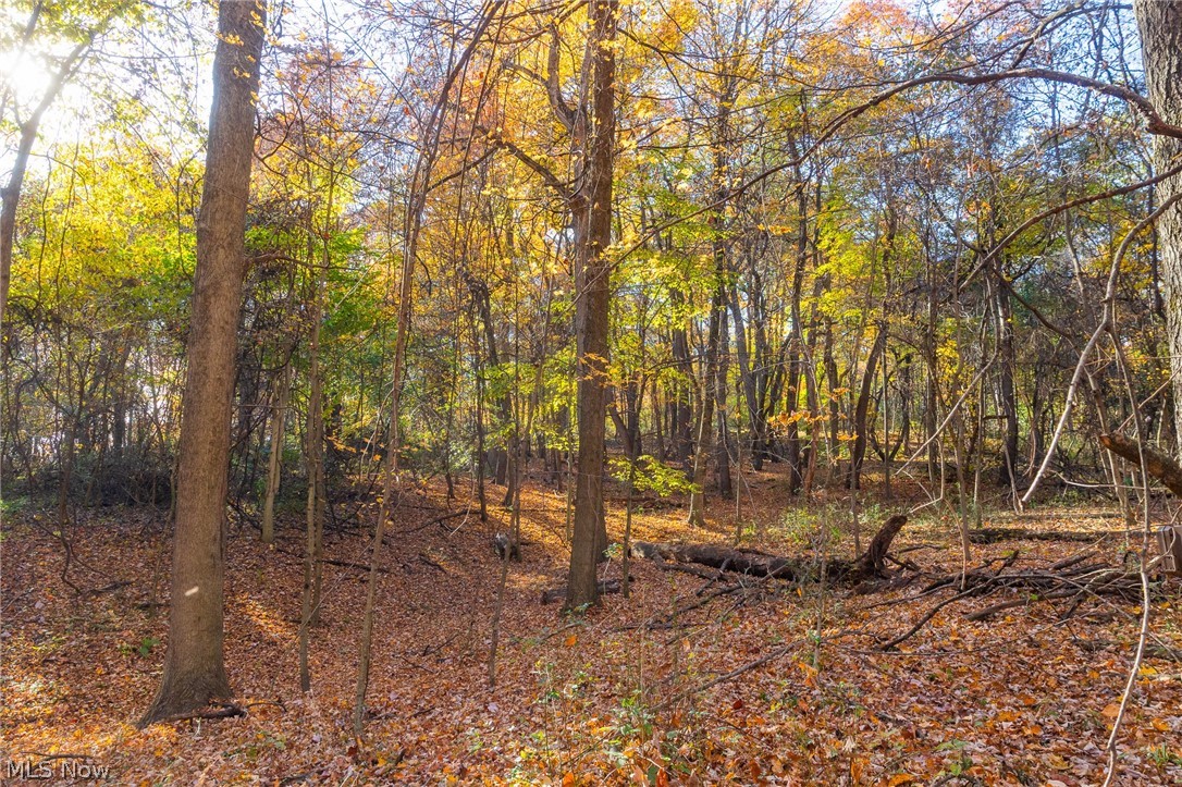 Smith Road SW Navarre OH 44662