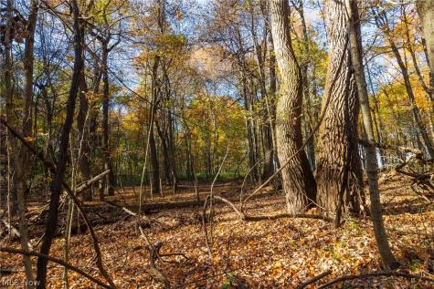 Smith Road SW Navarre OH 44662