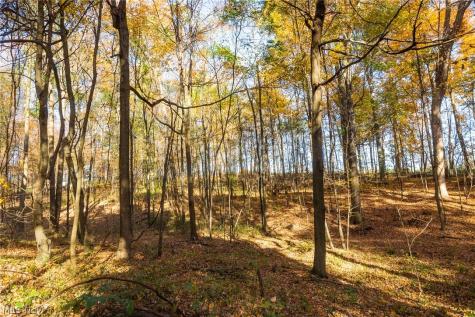 Smith Road SW Navarre OH 44662