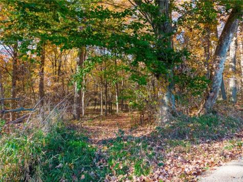 Smith Road SW Navarre OH 44662