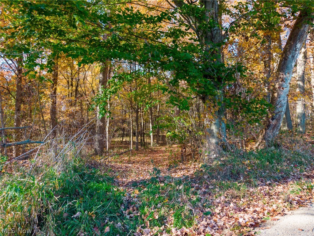 Smith Road SW Navarre OH 44662