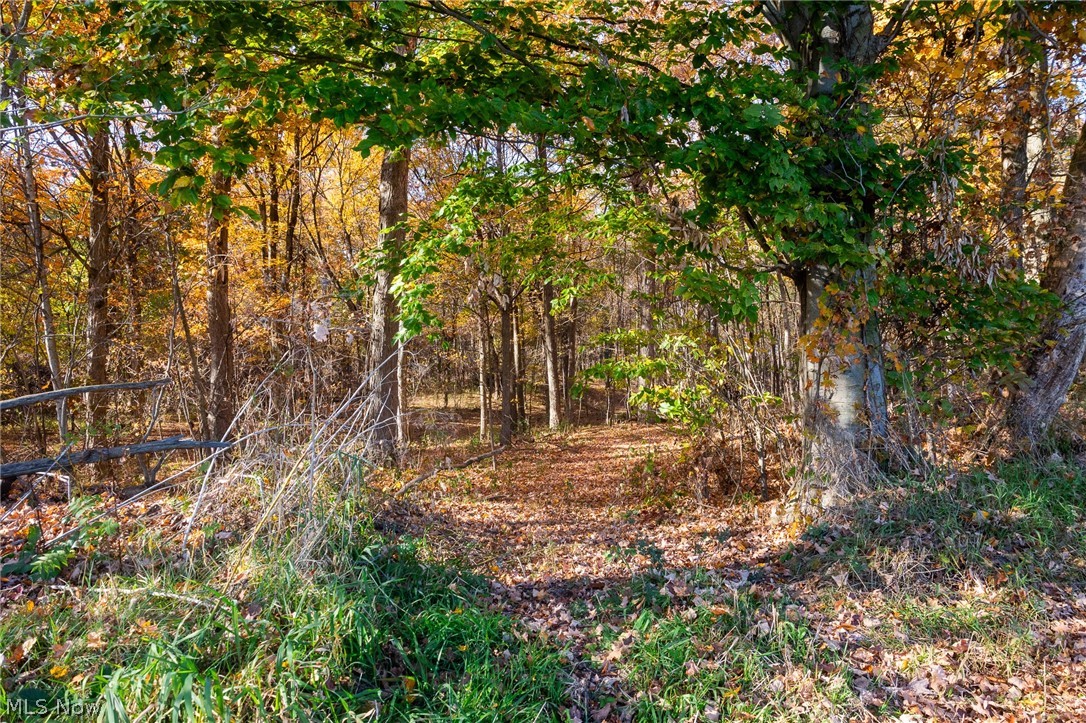Smith Road SW Navarre OH 44662