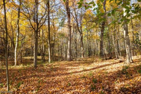 Smith Road SW Navarre OH 44662