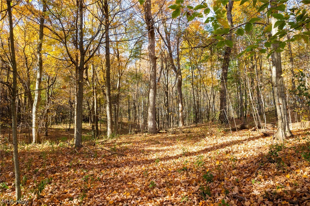 Smith Road SW Navarre OH 44662