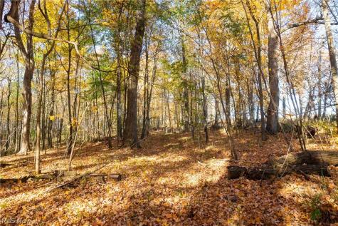 Smith Road SW Navarre OH 44662