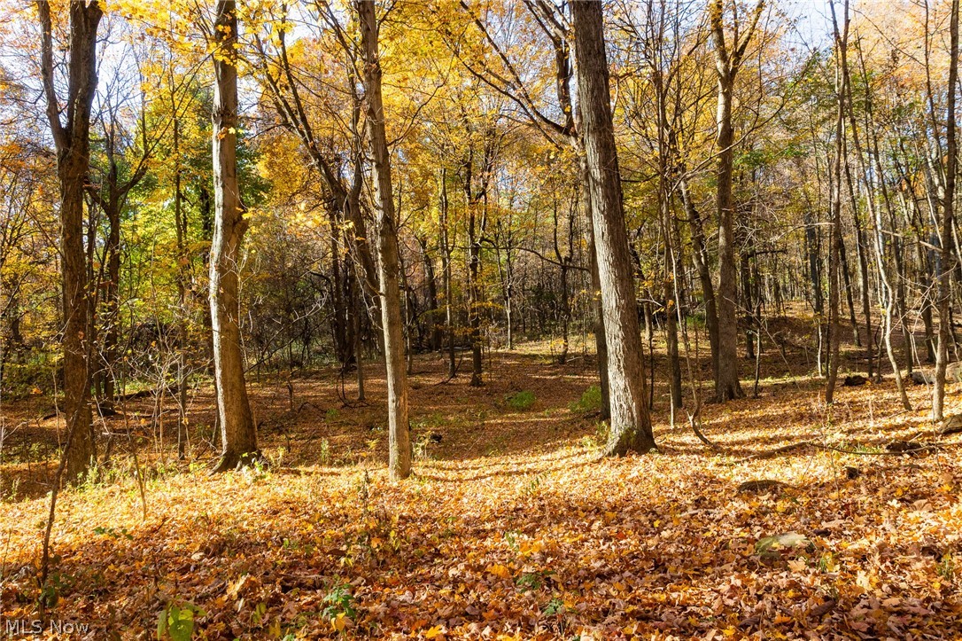 Smith Road SW Navarre OH 44662