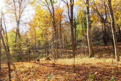 Smith Road SW Navarre OH 44662