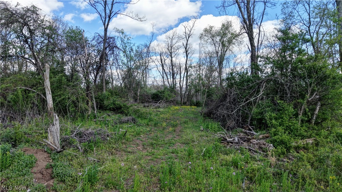 Deersville Ridge Road Cadiz OH 43907
