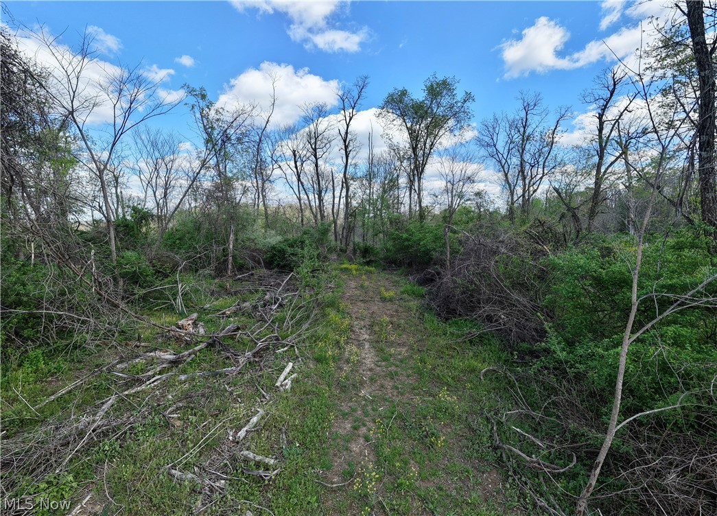 Deersville Ridge Road Cadiz OH 43907