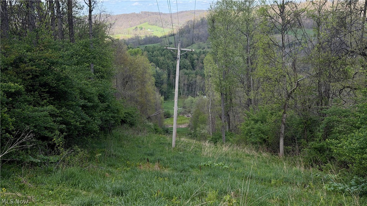 Deersville Ridge Road Cadiz OH 43907