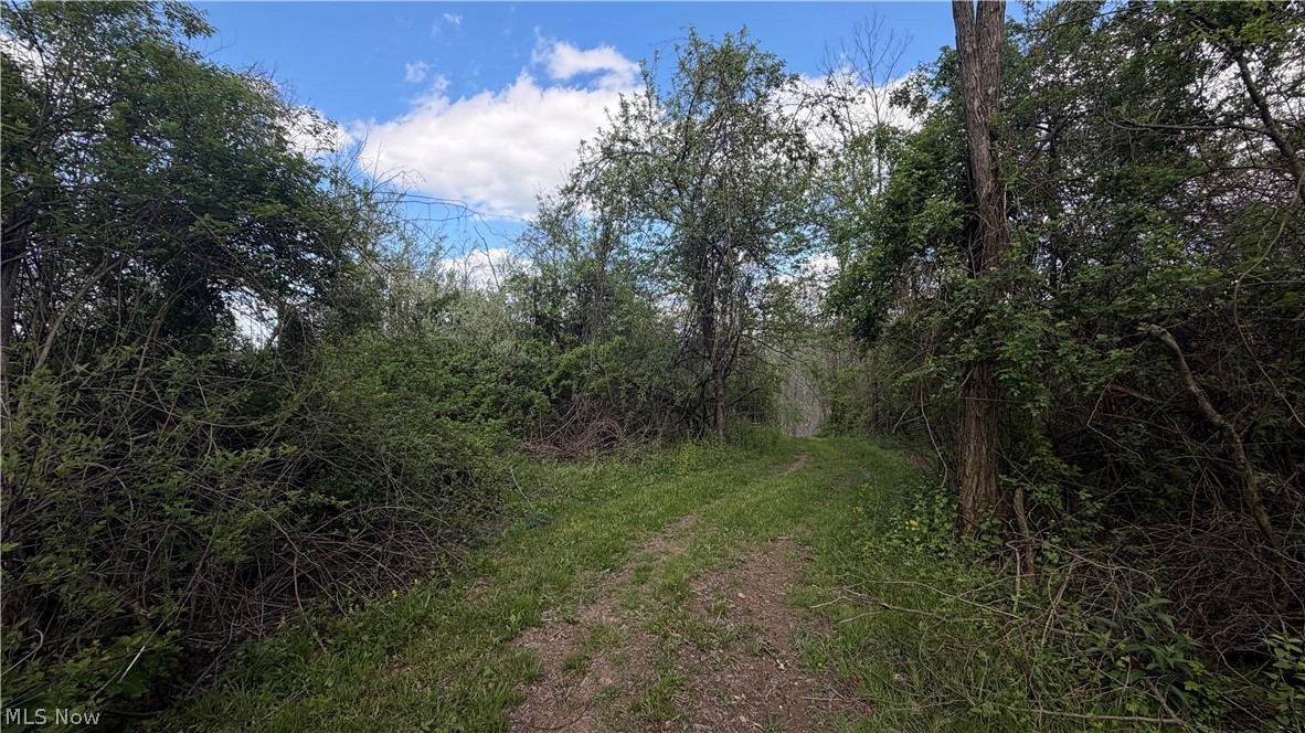 Deersville Ridge Road Cadiz OH 43907