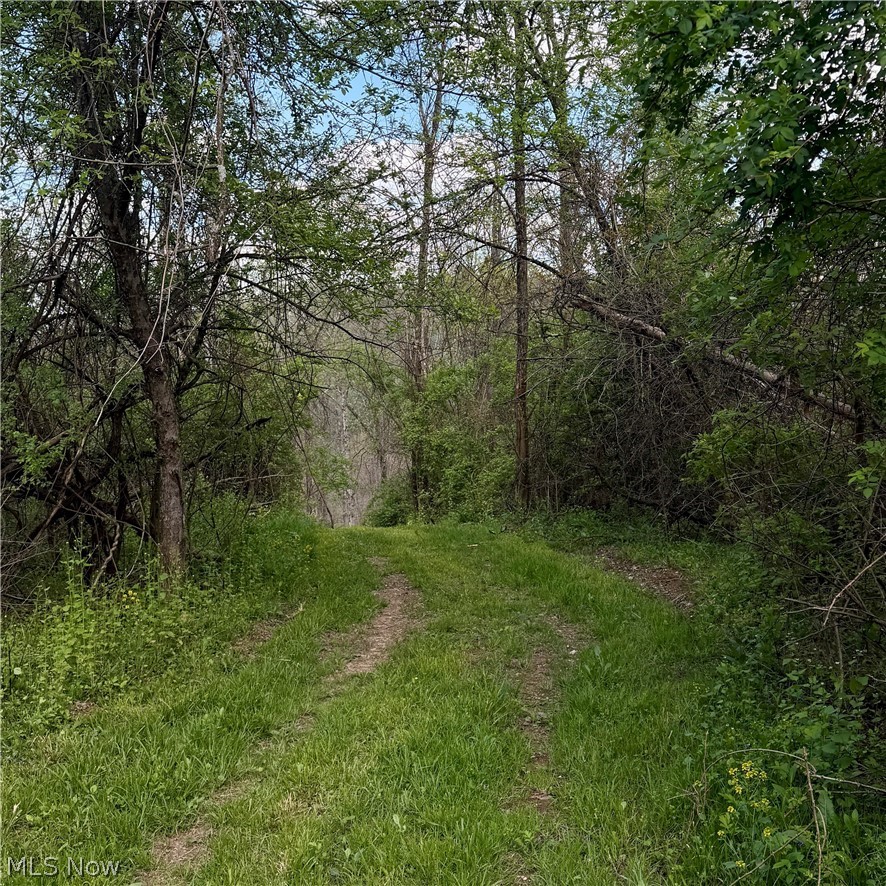 Deersville Ridge Road Cadiz OH 43907