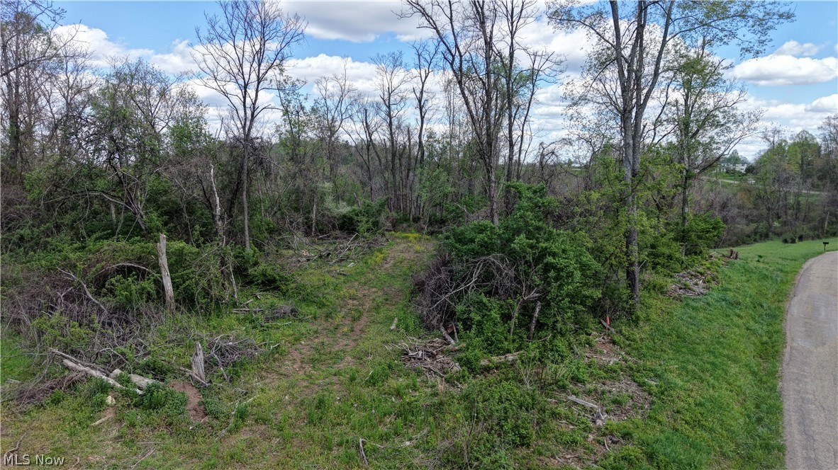 Deersville Ridge Road Cadiz OH 43907