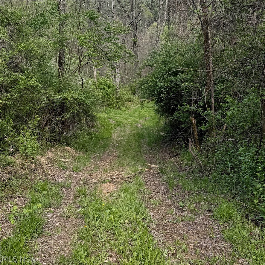 Deersville Ridge Road Cadiz OH 43907