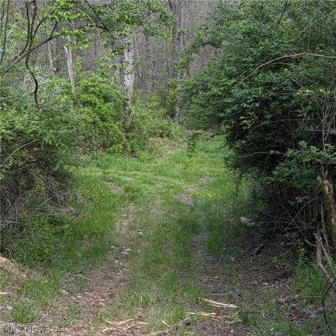 Deersville Ridge Road Cadiz OH 43907