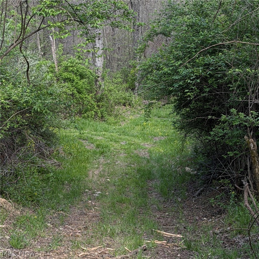 Deersville Ridge Road Cadiz OH 43907