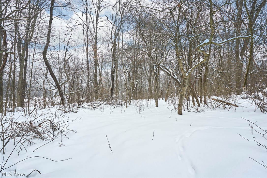 V/l Bainbridge Road Solon OH 44139