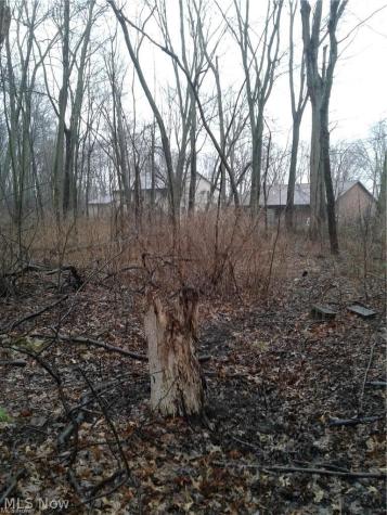 Mapleview Avenue Sheffield Lake OH 44054