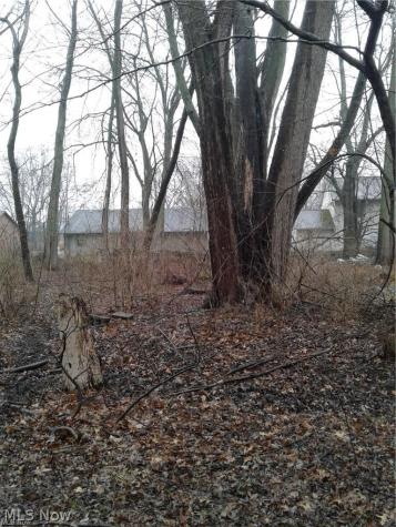 Mapleview Avenue Sheffield Lake OH 44054