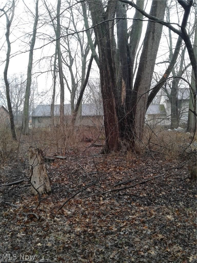 Mapleview Avenue Sheffield Lake OH 44054