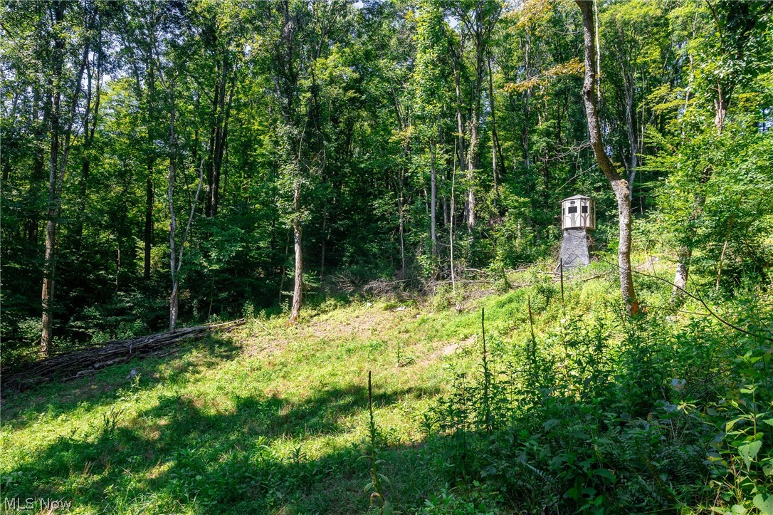 Kings Ridge Road Newcomerstown OH 43832