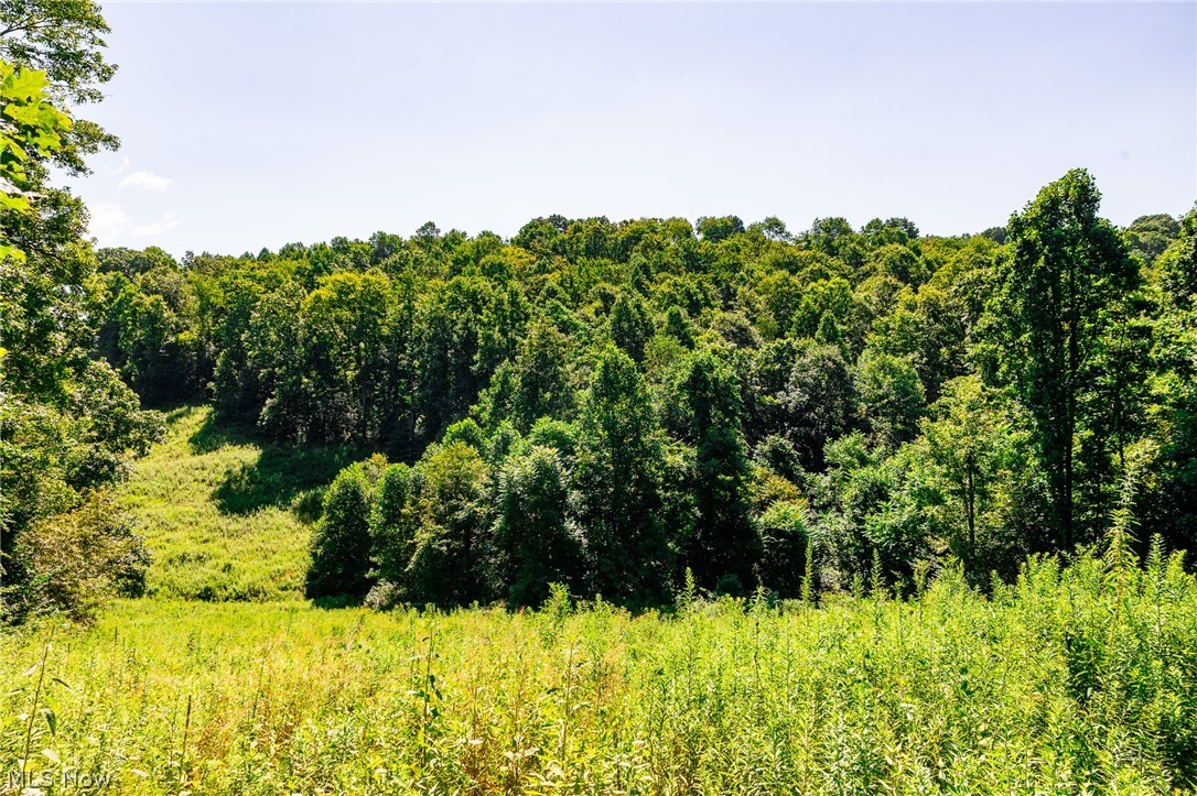 Kings Ridge Road Newcomerstown OH 43832