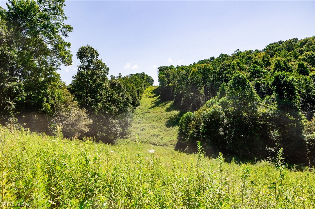 Kings Ridge Road Newcomerstown OH 43832
