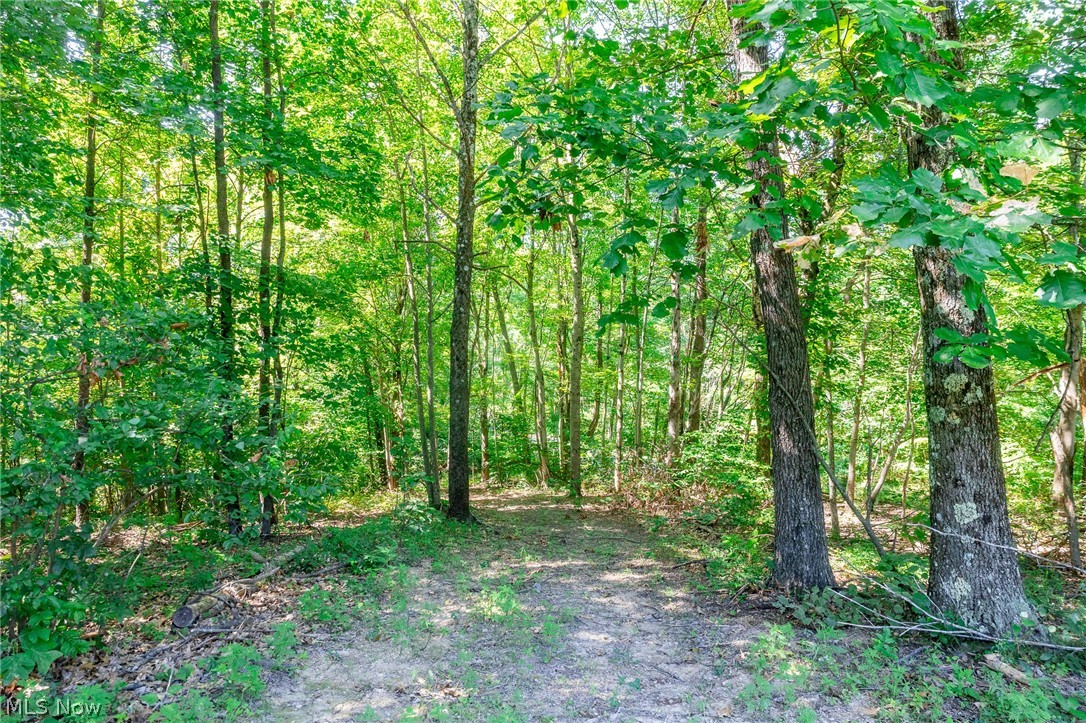 Kings Ridge Road Newcomerstown OH 43832
