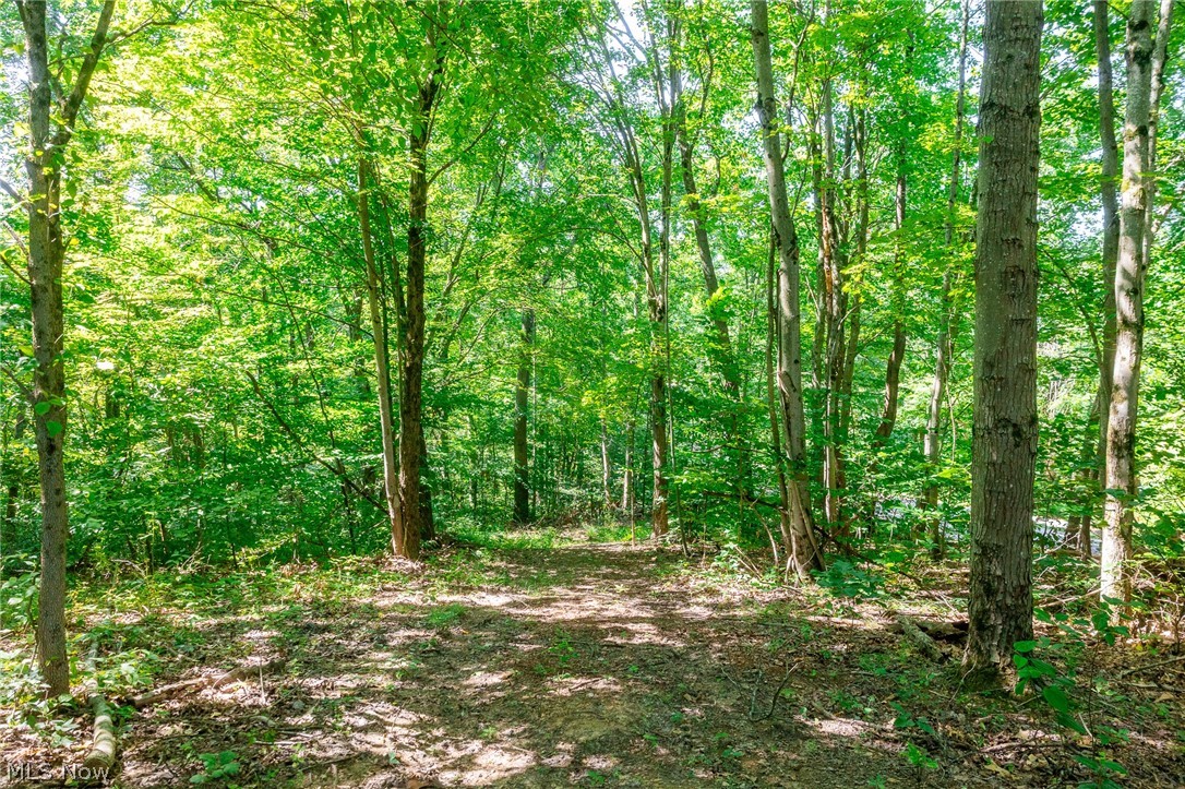 Kings Ridge Road Newcomerstown OH 43832
