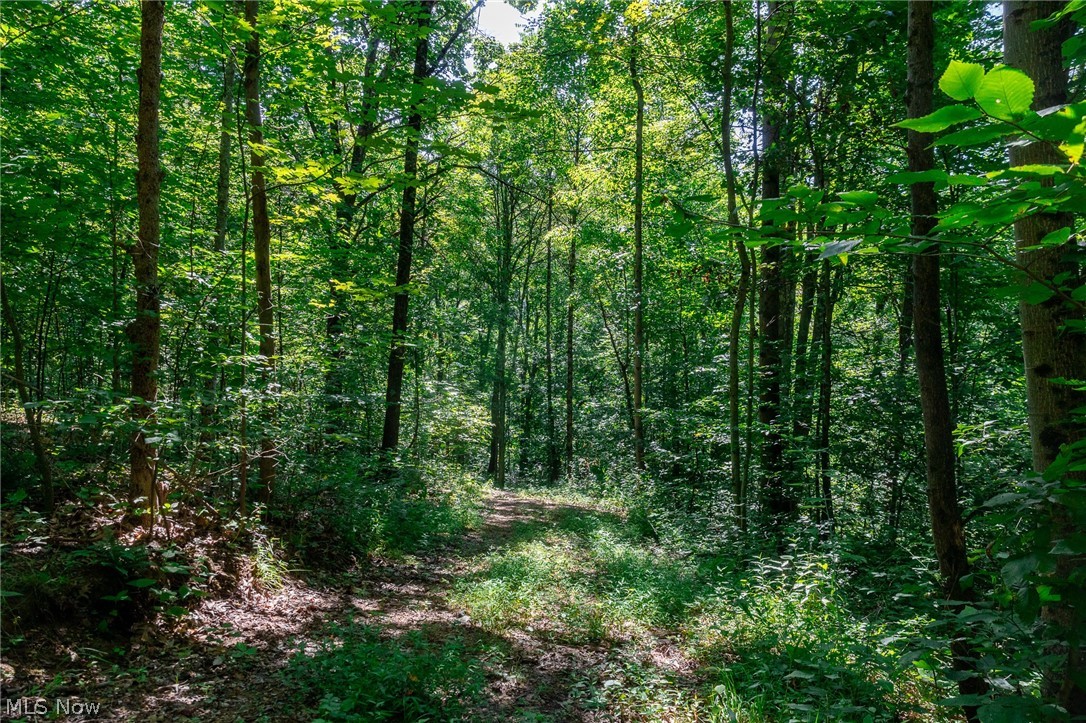 Kings Ridge Road Newcomerstown OH 43832