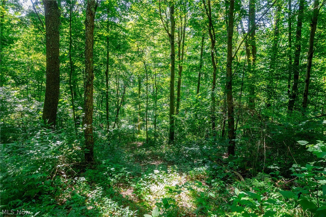 Kings Ridge Road Newcomerstown OH 43832
