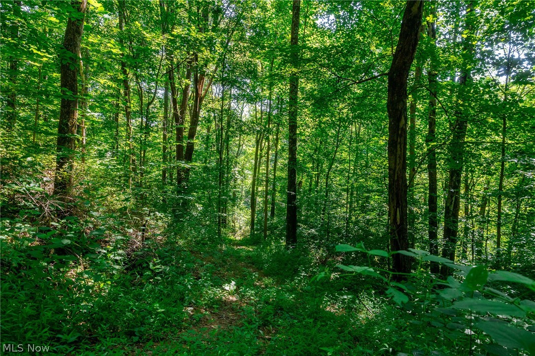 Kings Ridge Road Newcomerstown OH 43832