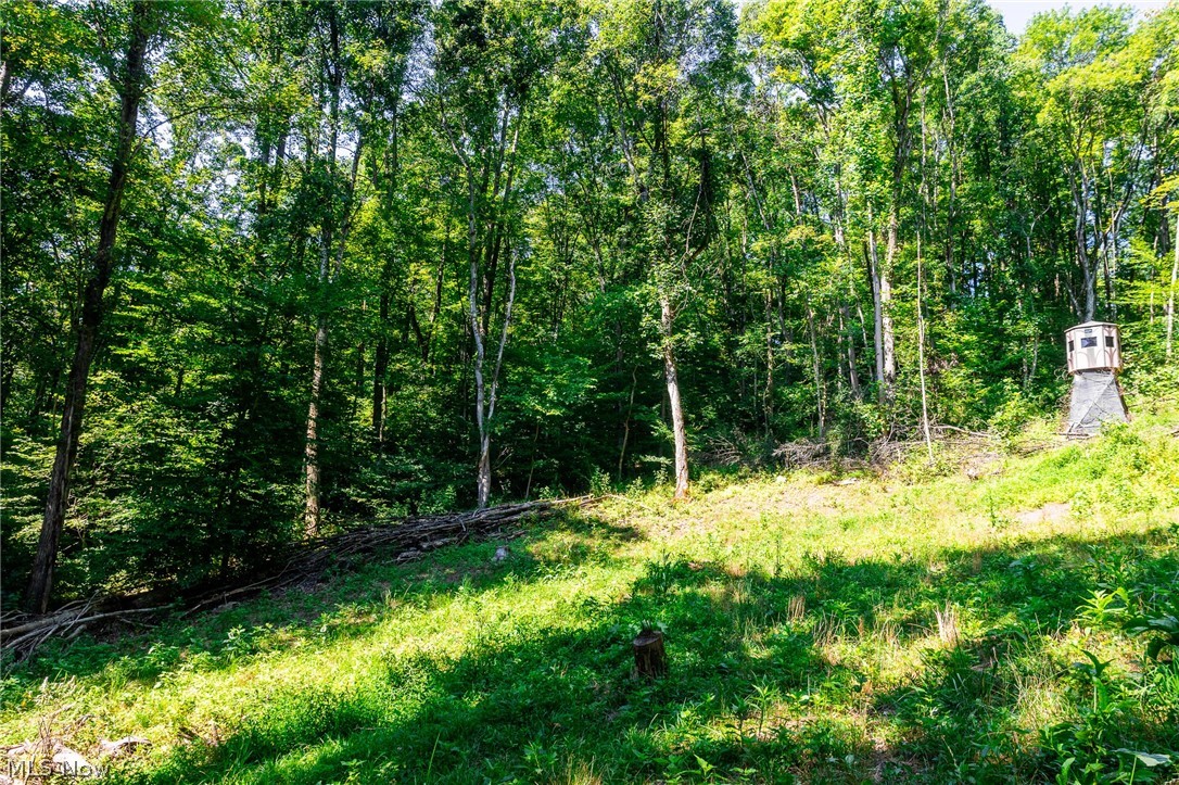 Kings Ridge Road Newcomerstown OH 43832