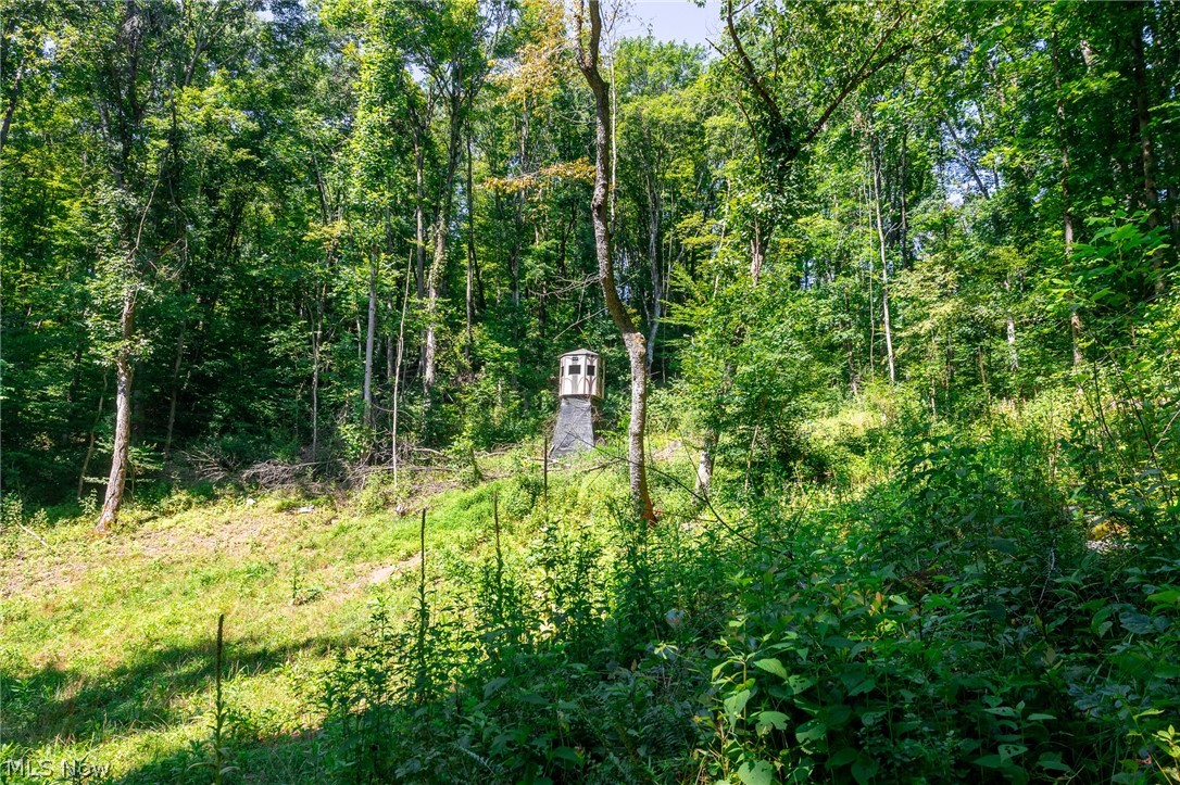Kings Ridge Road Newcomerstown OH 43832