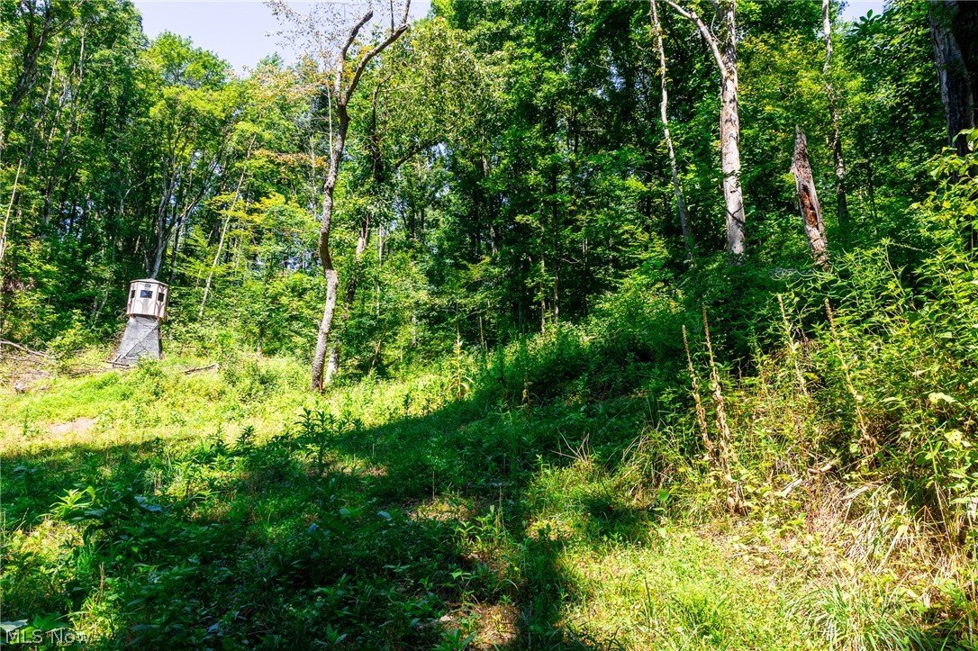 Kings Ridge Road Newcomerstown OH 43832