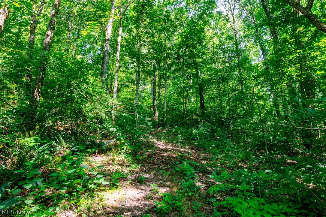 Kings Ridge Road Newcomerstown OH 43832