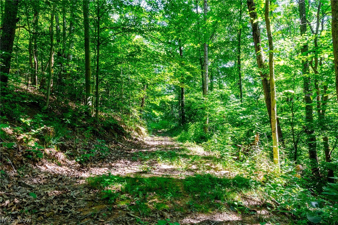 Kings Ridge Road Newcomerstown OH 43832