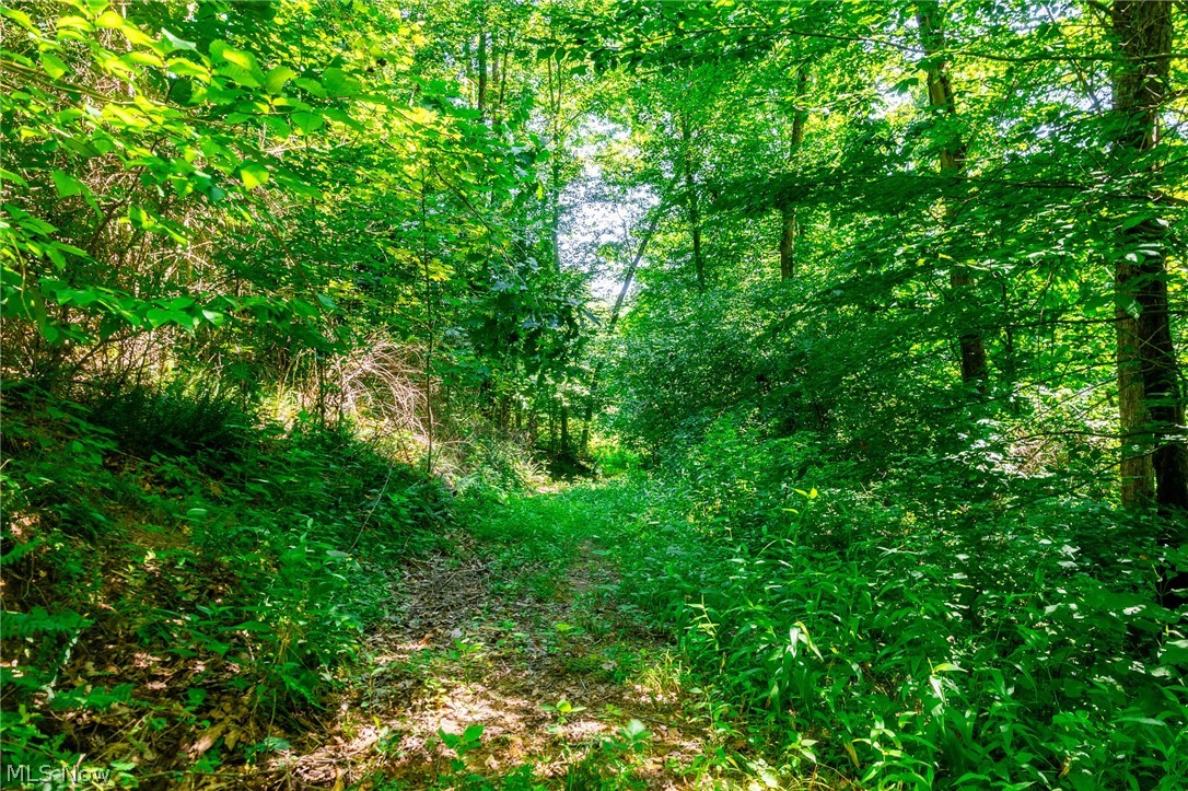 Kings Ridge Road Newcomerstown OH 43832