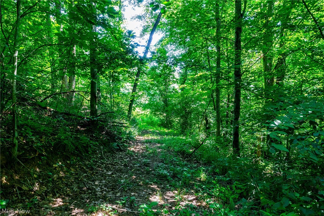 Kings Ridge Road Newcomerstown OH 43832
