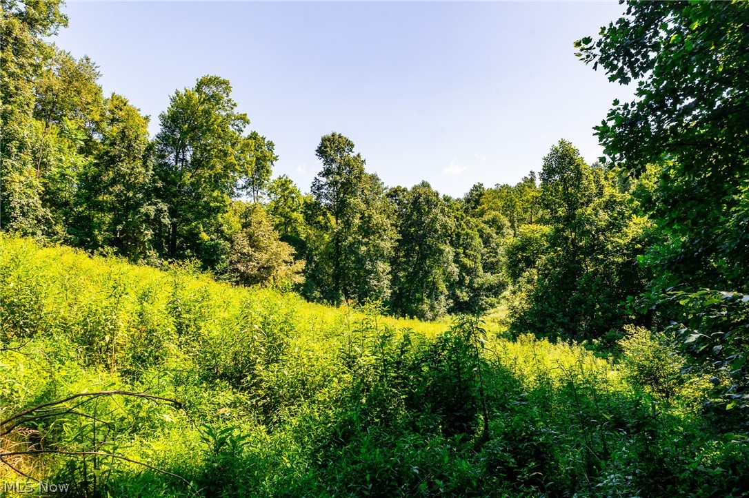 Kings Ridge Road Newcomerstown OH 43832