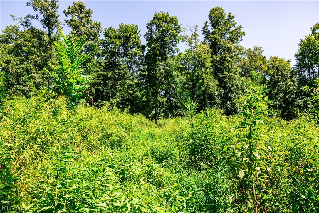 Kings Ridge Road Newcomerstown OH 43832