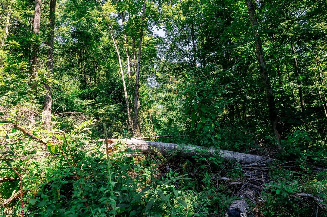 Kings Ridge Road Newcomerstown OH 43832