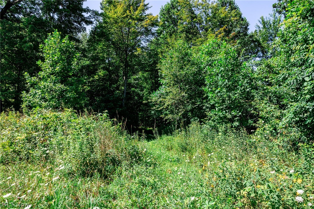 Kings Ridge Road Newcomerstown OH 43832