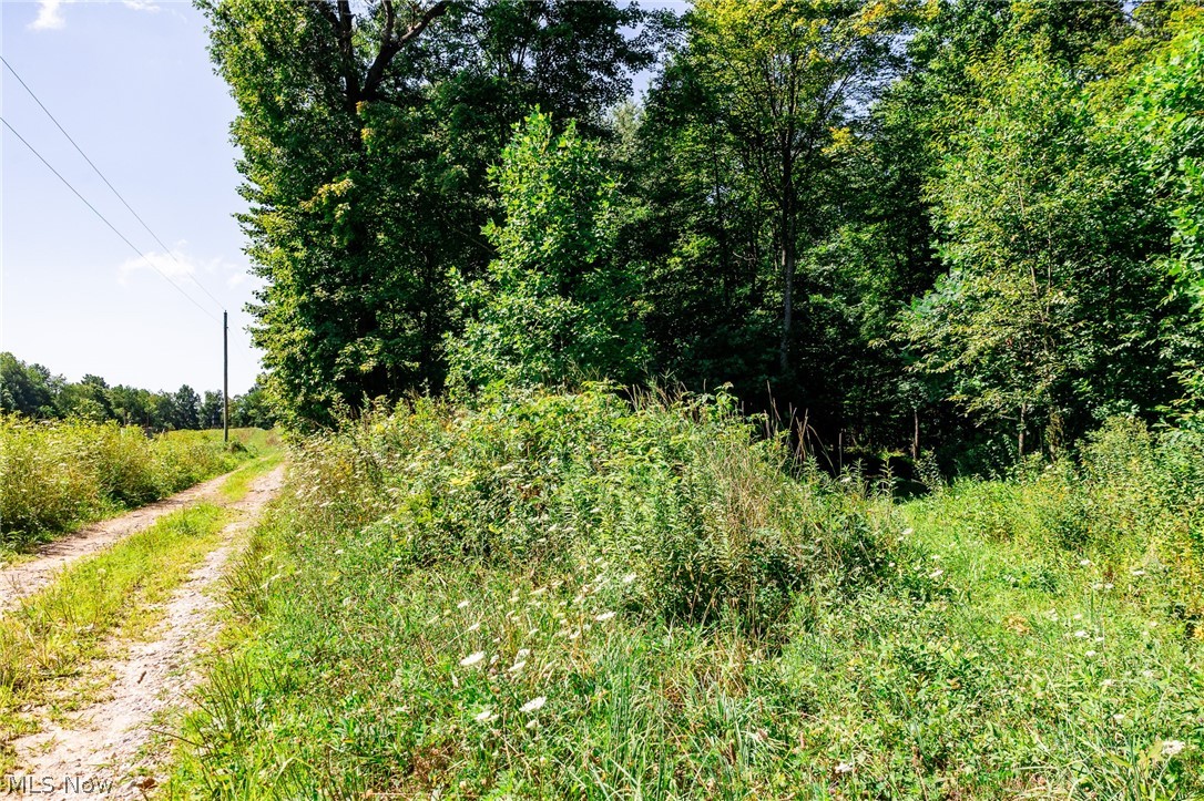 Kings Ridge Road Newcomerstown OH 43832
