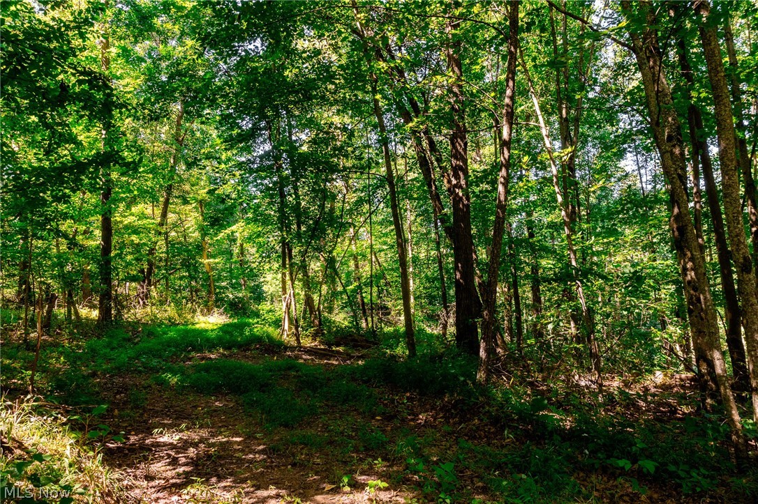 Kings Ridge Road Newcomerstown OH 43832