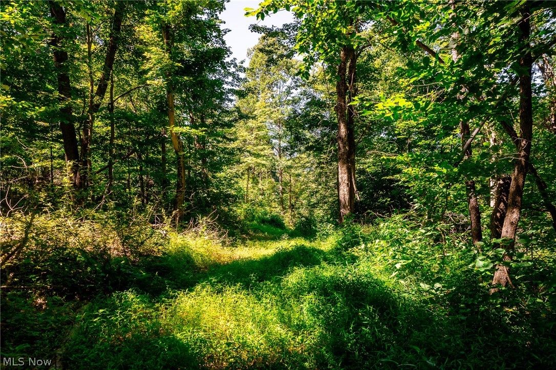 Kings Ridge Road Newcomerstown OH 43832