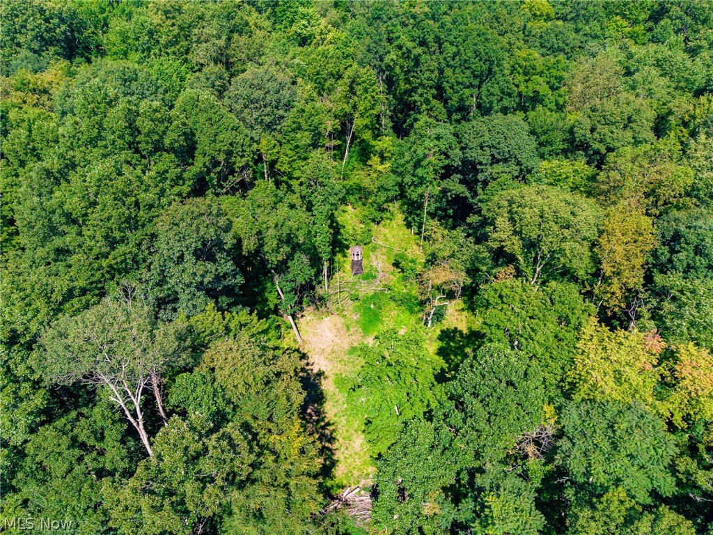 Kings Ridge Road Newcomerstown OH 43832