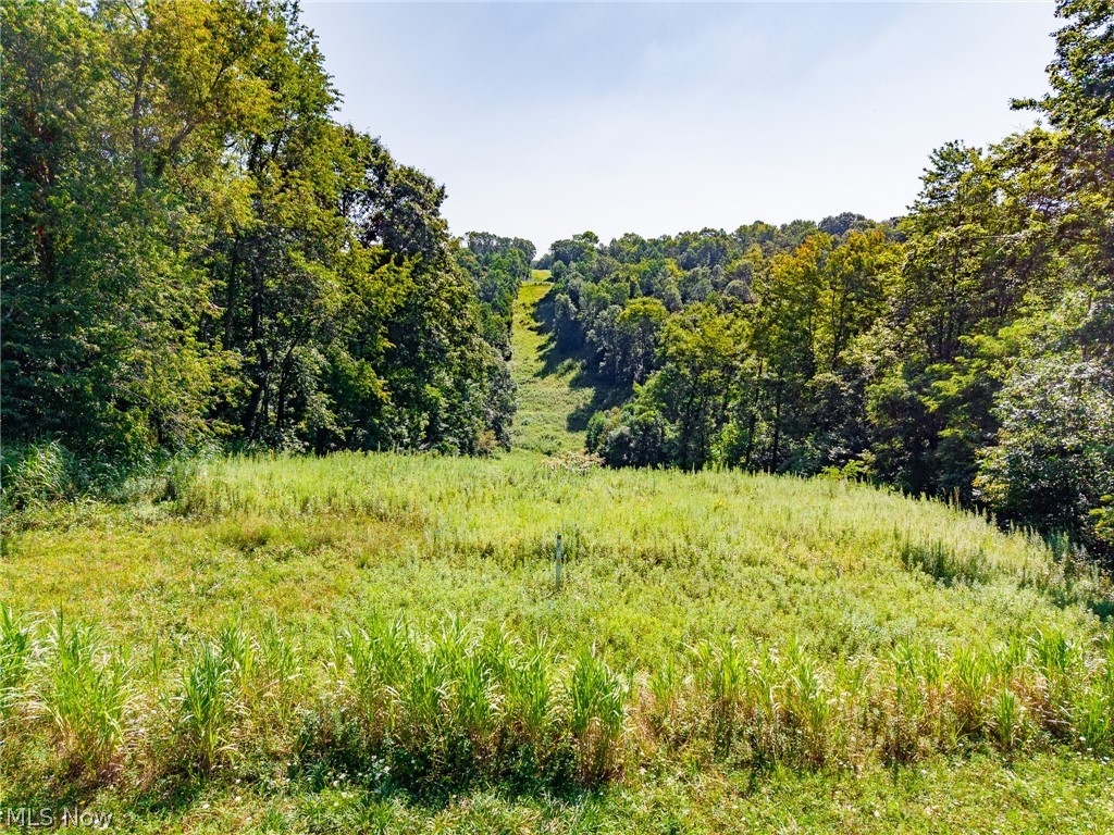 Kings Ridge Road Newcomerstown OH 43832